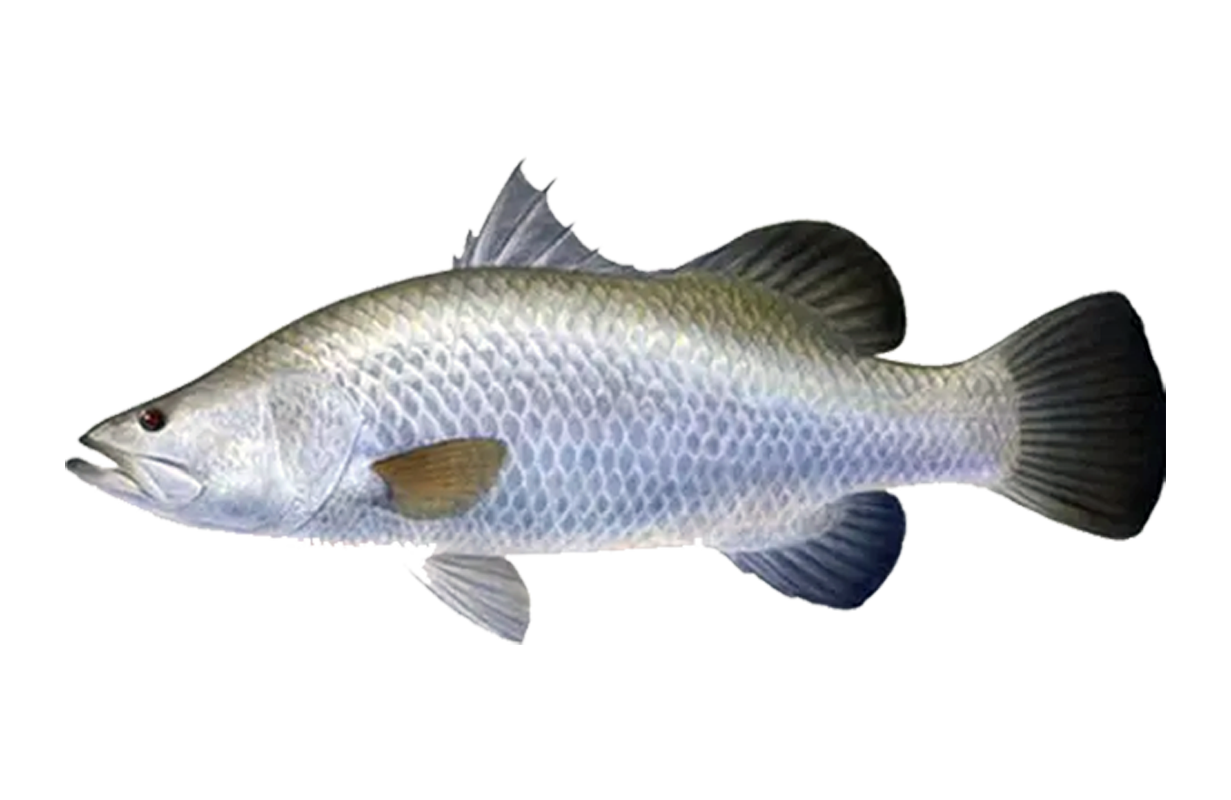 SEABASS